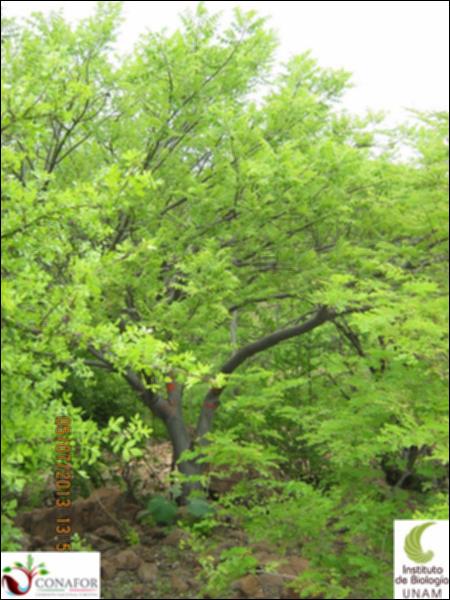 65169_S3_ARC_20130705_002.jpg.jpg