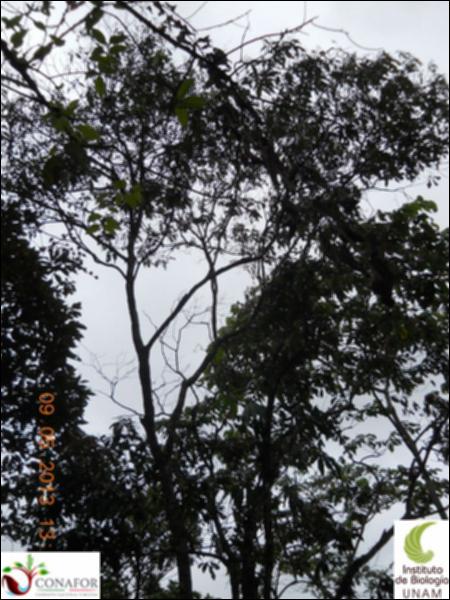 73361_S1_ARC_20130509_003_002.jpg.jpg