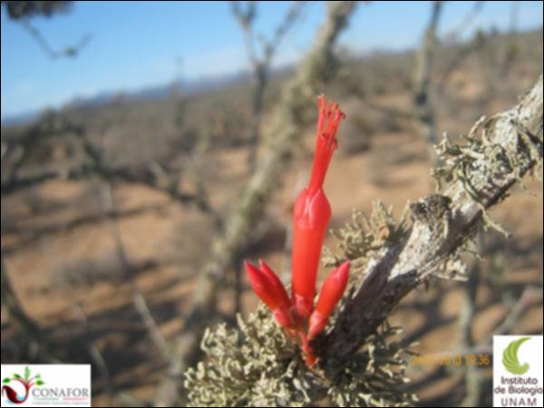 15200_S3_FLR_20130724_005.jpg.jpg