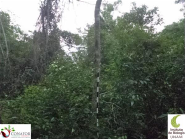 58161_S2_ARC_20130815_010_001.jpg.jpg