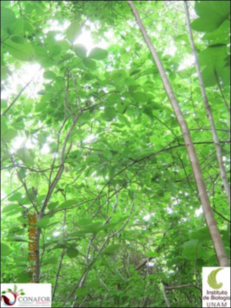 77577_S1_ARC_20130628_023_002.jpg.jpg