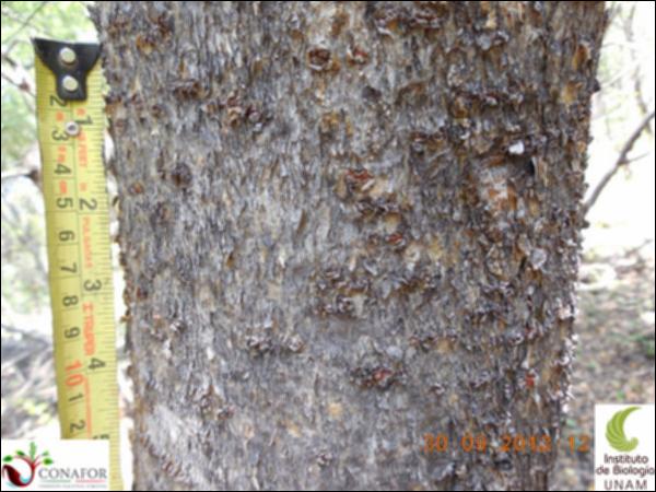 69107_S3_CRT_20130930_015_001.jpg.jpg