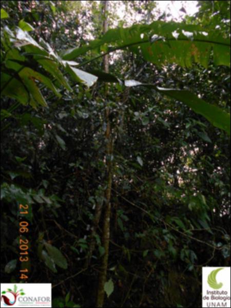 77370_S1_ARC_20130621_005_001.jpg.jpg