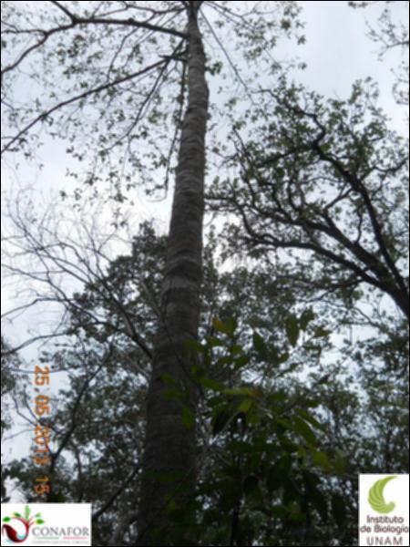 74196_S1_ARC_20130525_016_002.jpg.jpg