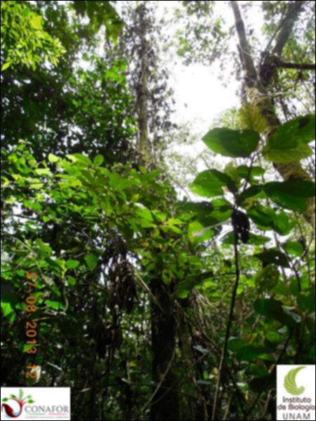 72500_S1_ARC_20130824_027_02.jpg.jpg
