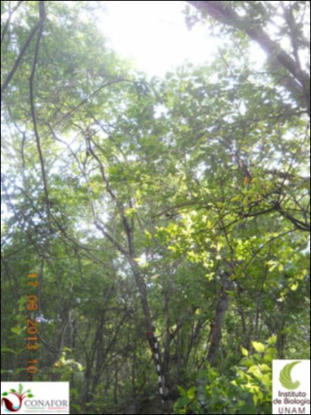 74298_S2_ARC_20130816_009_001.jpg.jpg