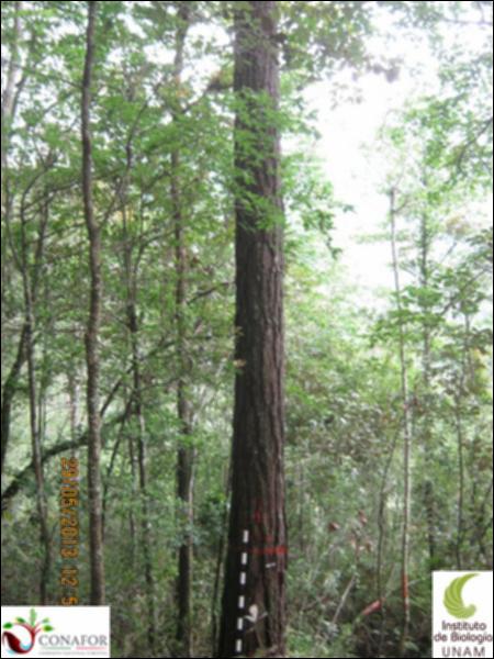 64985_S1_ARC_20130528_020_001.jpg.jpg