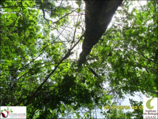 54677_S4_ARC_20130804_012_001.jpg.jpg