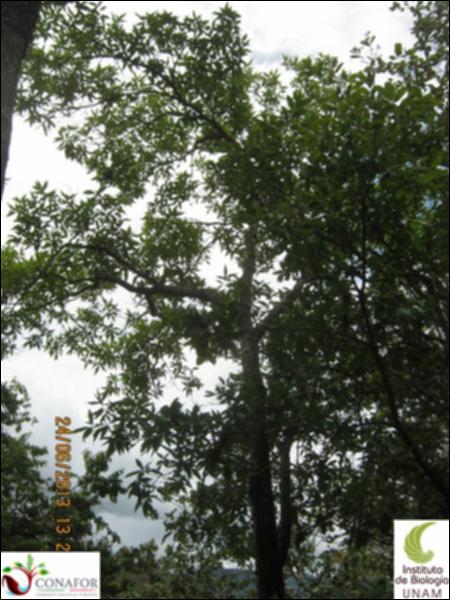 73763_S1_ARC_20130623_030_002.jpg.jpg