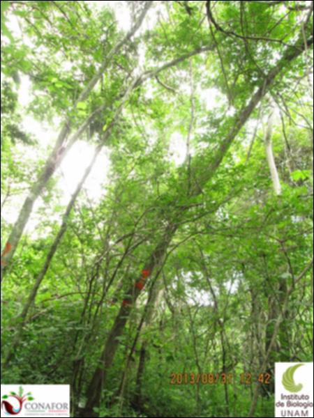 42018_S1_ARC_20130831_001.jpg.jpg