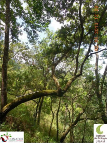 73356_S3_ARC_20130603_010_001.jpg.jpg