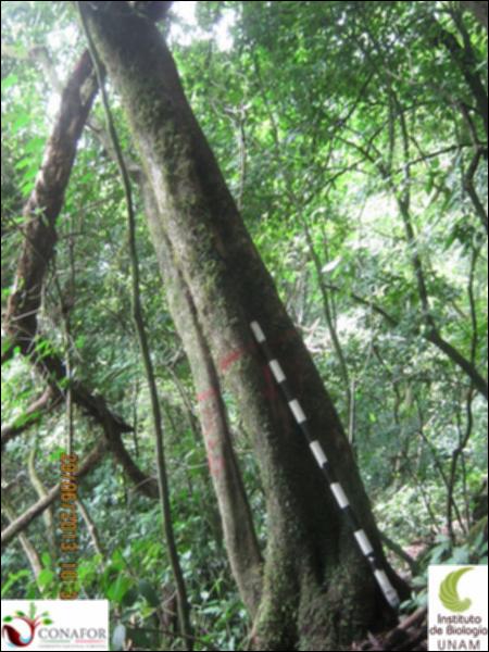 73138_S1_ARC_20130626_017_001.jpg.jpg