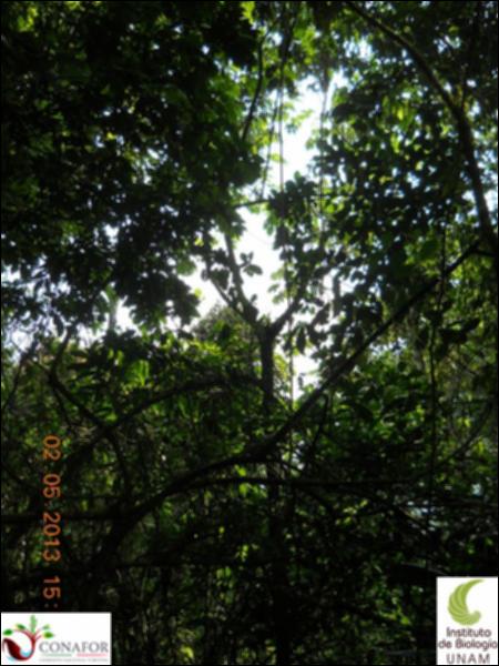 64990_S2_ARC_20130501_015_002.jpg.jpg