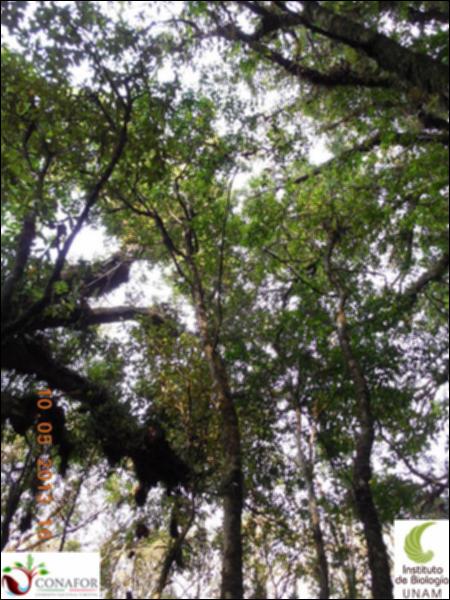 72924_S1_ARC_20130509_010_002.jpg.jpg