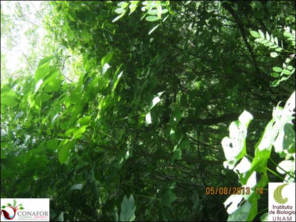 54027_S1_ARC_20130805_012.jpg.jpg