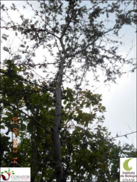 77505_S1_ARC_20130703_006_002.jpg.jpg