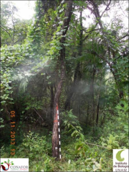 71762_S4_ARC_20131105_013_001.jpg.jpg