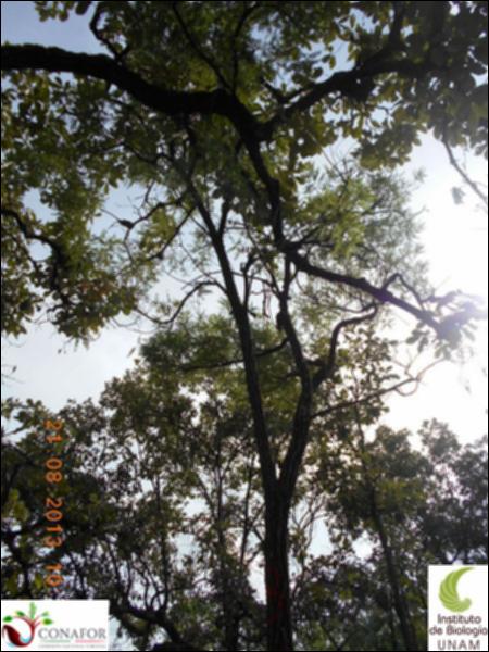 70263_S2_ARC_20130821_003_002.jpg.jpg