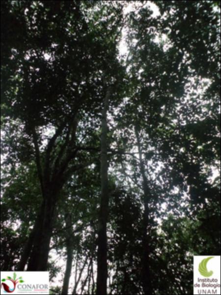 61201_S1_ARC_20130607_001_002.jpg.jpg