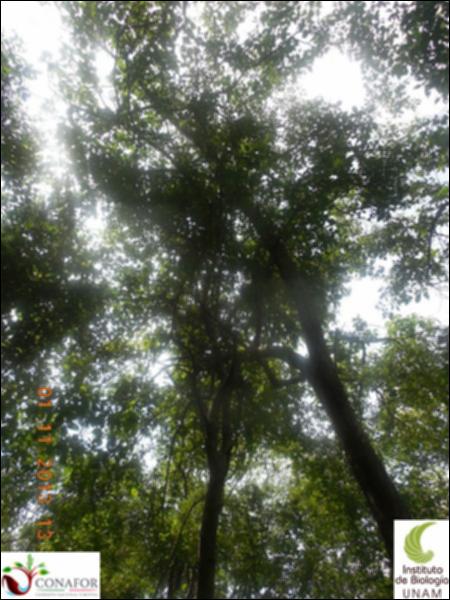 68540_S1_ARC_20131101_005_002.jpg.jpg