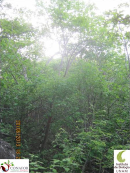 76294_S1_ARC_20130620_017_001.jpg.jpg
