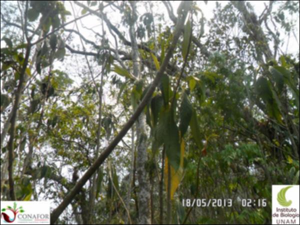 75032_S4_ARC_20130518_007_001.jpg.jpg