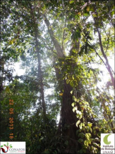 71250_S1_ARC_20130521_009_001.jpg.jpg