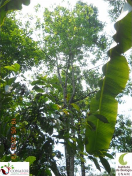 65560_S3_ARC_20130519_005_002.jpg.jpg