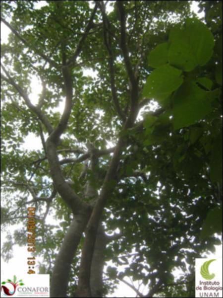 70013_S2_ARC_20130904_004_002.jpg.jpg