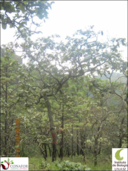 49862_S1_ARC_20131006_008.jpg.jpg