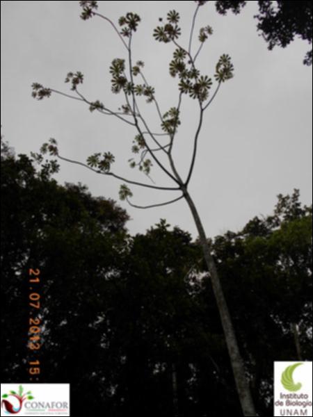77060_S2_ARC_20130721_010_002.jpg.jpg