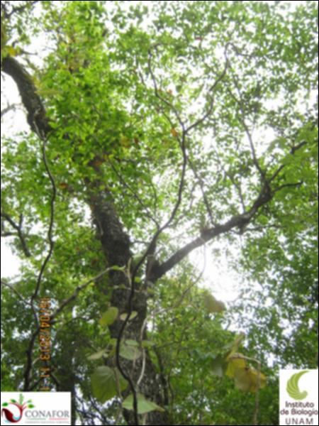 53934_S2_ARC_20130415_007_001.jpg.jpg