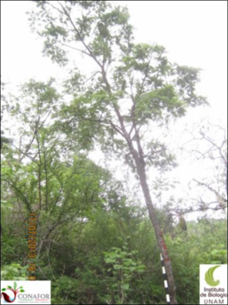 74550_S1_ARC_20130717_008_001.jpg.jpg