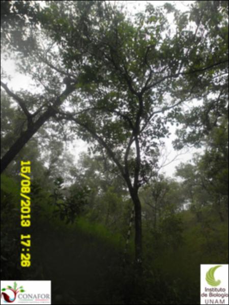 57956_S1_ARC_20130815_006.jpg.jpg