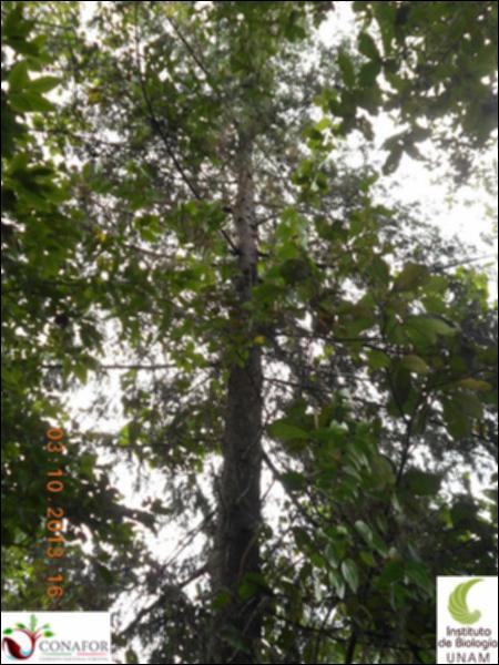 58111_S1_ARC_20131003_035_002.jpg.jpg