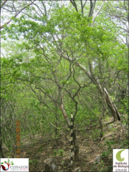 76284_S1_ARC_20130618_012_001.jpg.jpg