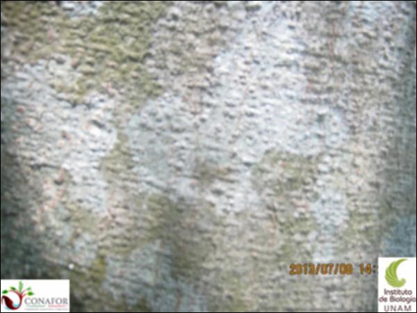 50076_S3_CRT_20130708_013.jpg.jpg
