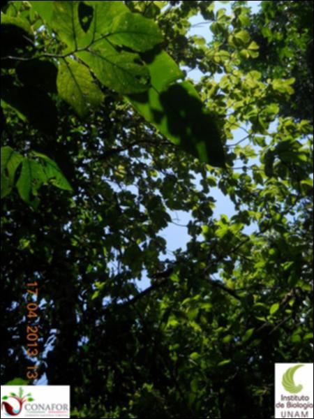 54882_S1_ARC_20130416_022_002.jpg.jpg