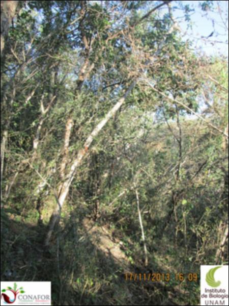42168_S1_ARC_20131117_003.jpg.jpg