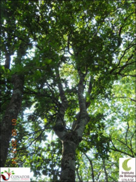 73148_S1_ARC_20130430_004_002.jpg.jpg