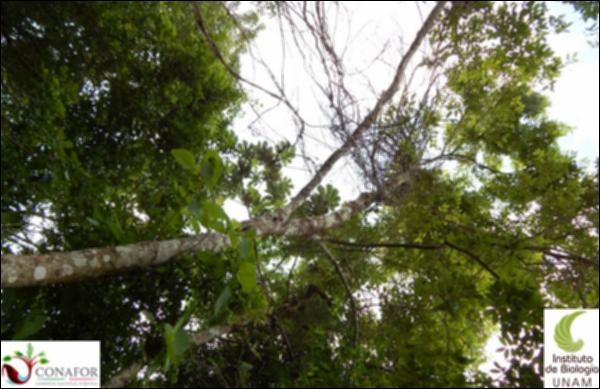 59434_S1_ARC_20130526_040_001.jpg.jpg