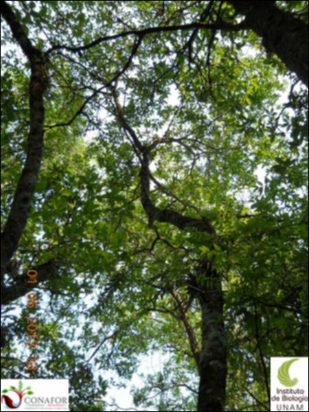 73148_S1_ARC_20130430_007_002.jpg.jpg