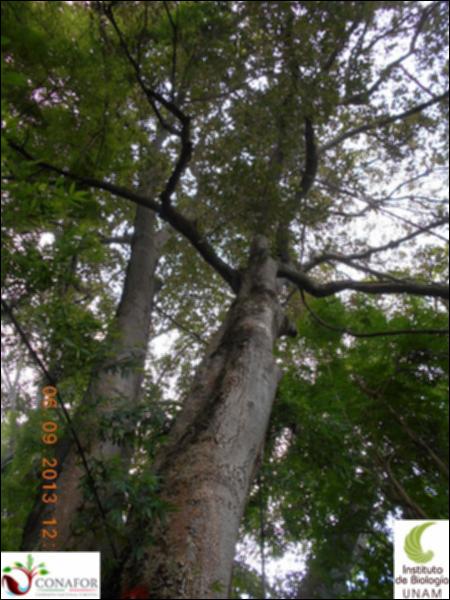 70884_S4_ARC_20130905_001_002.jpg.jpg