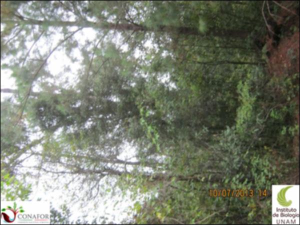 60817_S4_ARC_20130709_019.jpg.jpg