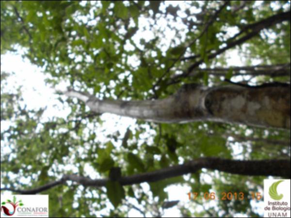 51199_S4_ARC_20130614_039_001.jpg.jpg