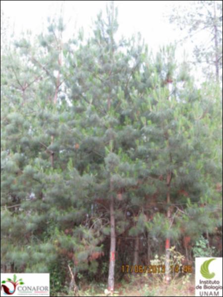61036_S4_ARC_20130617_001.jpg.jpg