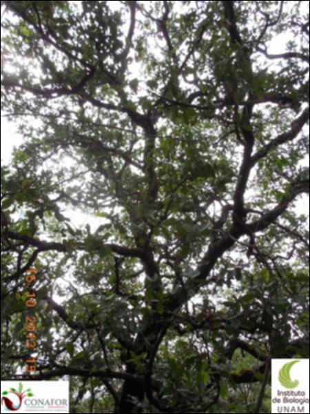 63889_S1_ARC_20131015_015_002.jpg.jpg