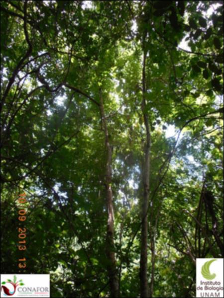 73038_S3_ARC_20130909_003_002.jpg.jpg