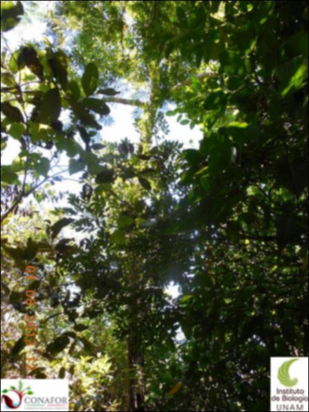 76409_S1_ARC_20130731_008_002.jpg.jpg