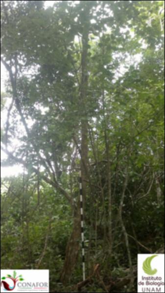 60435_S1_ARC_20130801_005_001.jpg.jpg